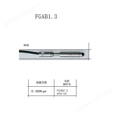 FGAB1.3探头